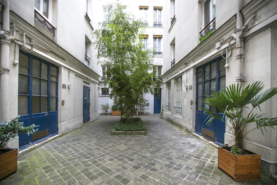 cour