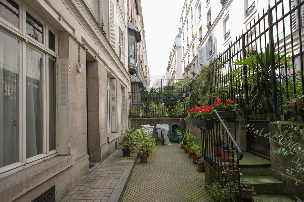 cour