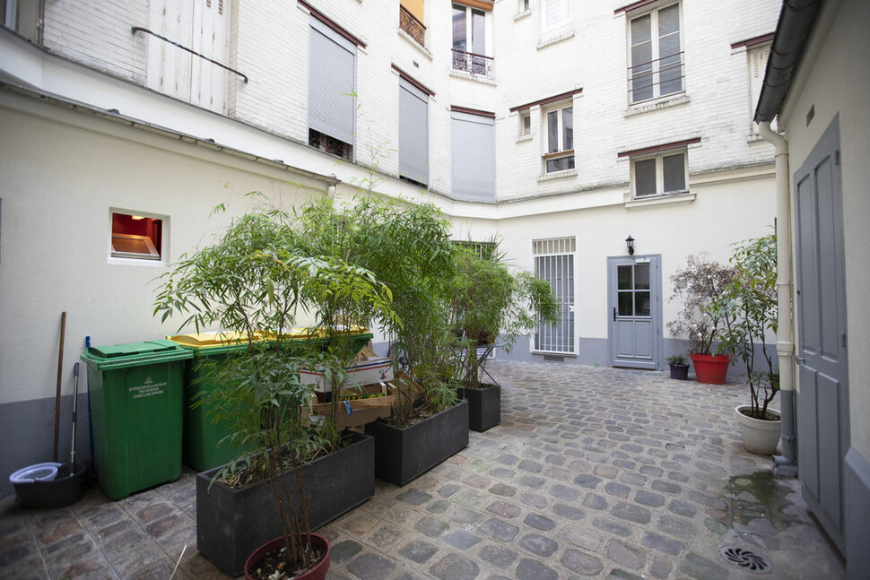 cour