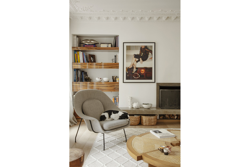 salon-chien-web