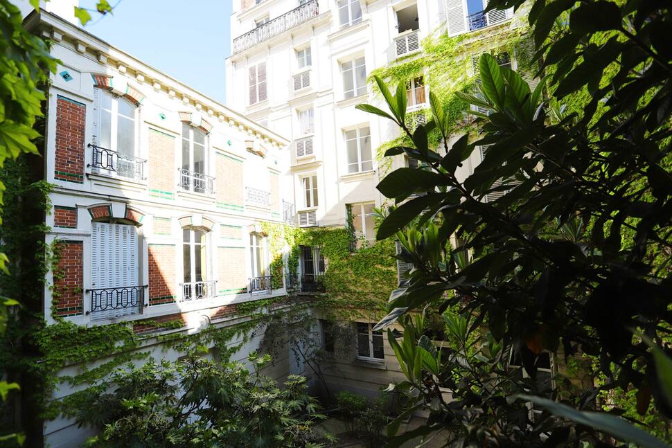 cour